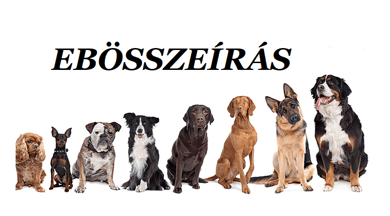 ebosszeir